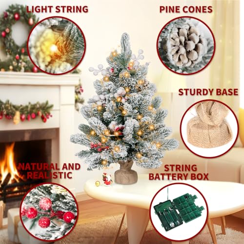 2FT Small Christmas Tree,Flocked Artificial Mini Christmas Tree with Lights,Tabletop Xmas Tree with Ornaments,Christmas Decoration for Party by DNKMOR