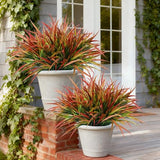 Ivydale 12Pcs Fake Plants Outdoor Artificial Plastic Grass Spring Decoration UV Resistant Faux Greenery Stems Bushes Outside Fake Plants for Planters Patio Porch Window Box Pathway Garden Home Decor