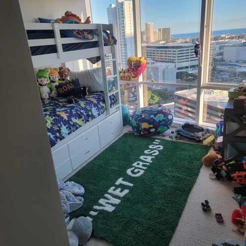 Wet Grass Rug - Green Grass Classic Handmade Flocked Area Rug - Hypebeast Home Decor Carpet - 20 * 32in (50 * 80cm) Indoor Entryway/Bathroom Mat/Sneaker Display Mat - Artistic Premium Floor Mat