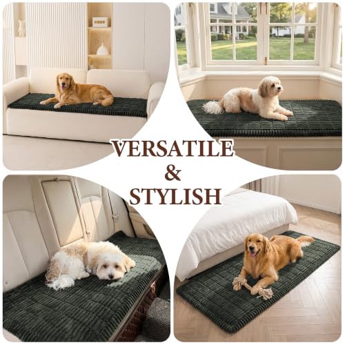 MEETSKY Pet Couch Covers for 2 Cushion Sofa, Couch Cover for Dogs, Washable Love Seat Couch Covers, Non Slip Simply Put Sofa Slipcovers, Modern Style Furniture Protector, Moss Green, 27.6" x 59"