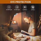 Desk Lamp, LED Reading Light with Clamp, 3 Color Modes & 10 Brightness Flexible Arm Book Light for Kids Reading Book in Bed at Night Clip on Table, Computer, Zoom Meetings - 27.6‘’ Black