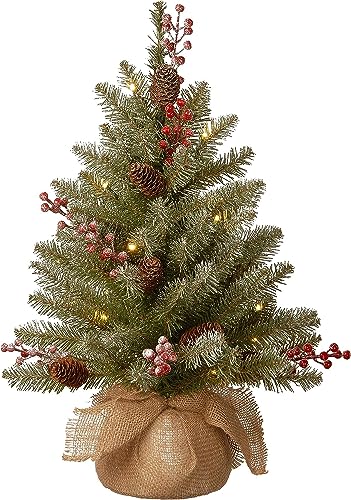 National Tree Company 2 ft Pre-Lit Flocked Dunhill Fir Mini Artificial Christmas Tree, 15 Clear LED Lights, 75 Tips, Pinecones, Red Berries, Timer, Burlap Base, Green