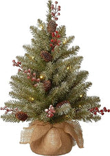 National Tree Company 2 ft Pre-Lit Flocked Dunhill Fir Mini Artificial Christmas Tree, 15 Clear LED Lights, 75 Tips, Pinecones, Red Berries, Timer, Burlap Base, Green
