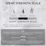 ENVIRONMENT Inspired by 5-Star Resort DBCH 2oz Oil, Luxury Machine Diffusing Oil (Green Tea | Orange | Lemongrass) Home Fragrance Products, Fragrance Oil, Diffuser Refill, Vegan & Cruelty-Free