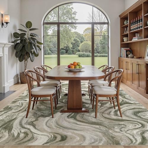 5x7 Area Rug for Living Room Washable Abstract Indoor Carpet