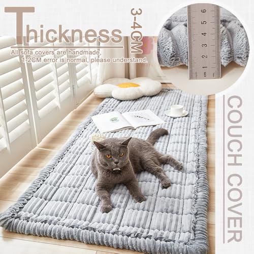 Awjcsv Couch Cover for Dogs Washable, Fuzzy Pet Couch Covers for 3 Cushion Sofa Pet Friendly, Non Slip Sofa Cover (Light Blue-Grey, 27.6" X 82.7"/70 X 210cm)