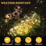 Timer Led Fairy Lights,1 Pack Mini Battery Powered Silver Wire Starry Tiny String Light,Battery Operated Micro Lights for Bedroom,Christmas,Parties,Wedding,Centerpiece,Decoration (5m/16ft Warm White)