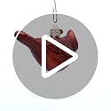 Old World Christmas Ornaments: Bird Watcher Collection Glass Blown Ornaments for Christmas Tree,Northern Cardinal