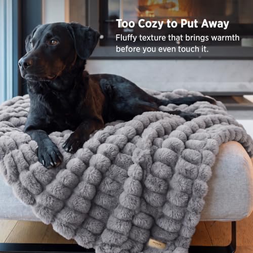 Bedsure Soft Double-Sided Faux Fur Throw XL Blanket, Silver Grey, 50"x70"