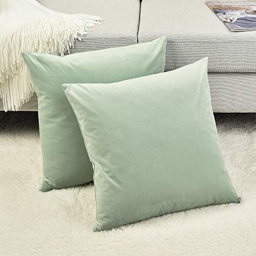 Set of 2 Comfortable Throw Pillow Covers for Bedding, Decorative Accent Cushion Sham Cases for Couch Sofa, Soft Solid Velvet with Zipper Hidden - 18"x18", Turquoise Green