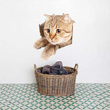 11PCS New 3D Removable Cartoon Animal Cats Large Wall Stickers, Easy to Peel Easy to Stick Safe on Painted Walls Cute Cat Decor Posters for Nursery Room Toilet Kitchen Offices