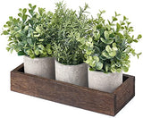 Dahey 3 Pack Mini Potted Artificial Eucalyptus Fake Plants with Wood Tray Centerpiece Table Decorations, Farmhouse Pulp Flower Pots Greenery Home Decor for Coffee Table Dining Room Office Kitchen