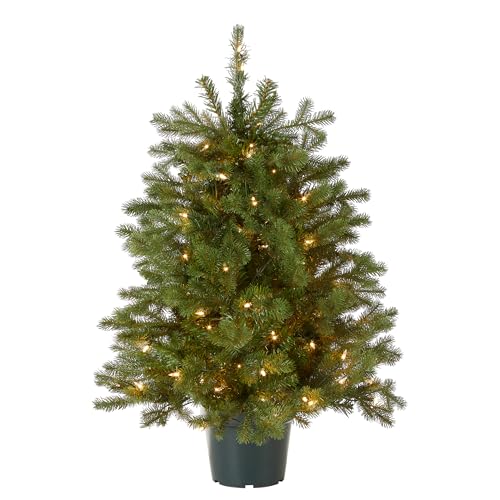 National Tree Company 3 ft Pre-Lit Hampton Spruce Mini Artificial Christmas Tree, 100 Clear Lights, 579 Tips, Green Growers Pot