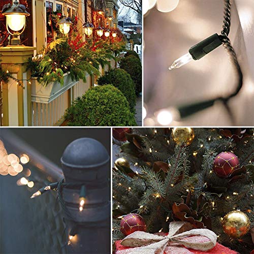 Hopolon 2 Pack 13ft 50-Count Clear Green Wire Christmas Light Set,Incandescent Mini Christmas Lights, Connectable 120V Clear Tree Lights for Wedding, Bedroom, Classroom, Porch Decor(2pcs Warm White)