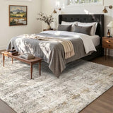 4x6 Grey Beige Washable Area Rug for Living Room, Vintage Print