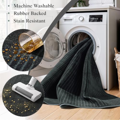 6x9 Washable Area Rug, Checkered Rug for Living Room(6x9,Black-L)