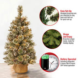 National Tree Company 3 ft Pre-Lit Glittery Bristle Mini Artificial Christmas Tree, Pinecones, 35 Clear LED Lights, 144 Tips, Timer, Burlap Base, Green