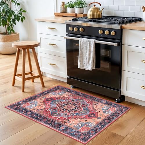 2x3 Small Washable Area Rug Entryway Door Mat Indoor Kitchen Runner