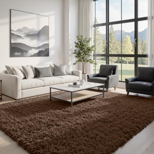 5x8 Fluffy Shag Area Rugs for Living Room Bedroom: Soft Plush Carpet Brown