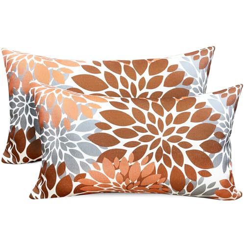 Decorative Throw Pillow Covers Set of 2 Brown Coffee pillow covers 12x20
