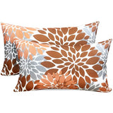 Decorative Throw Pillow Covers Set of 2 Brown Coffee pillow covers 12x20