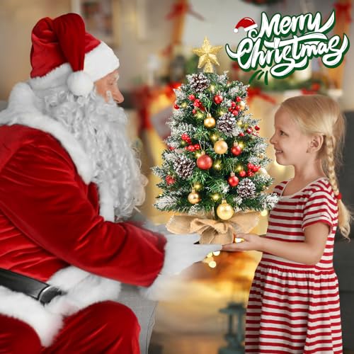 Mini Christmas Tree with Lights, 24 Inch Tabletop Christmas Tree with Berries Star Treetop Ornaments Balls Artificial Small XMS Tree for Table Desk Home Christmas Holiday Decor