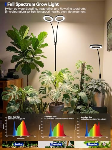 Grow Lights for Indoor Plants, Full Spectrum LED Grow Light Floor Lamp with Stand Adjustable Height and Angle, Black Plant Light with 3/9/12H Grow Light Timer (Black, 20W)