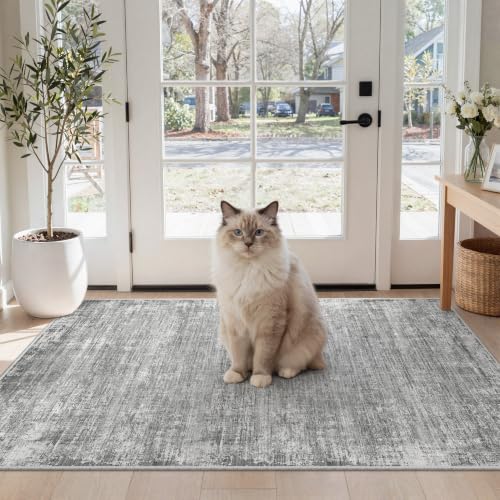 Washable 2x4 Entryway Rugs Abstract Kitchen Rug Soft Carpet Grey