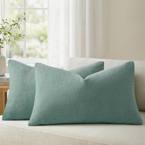 a moment Pack of 2 Decorative Chenille Throw Pillow Covers with Twill Cushion Covers for Sofa Living Room Couch Bed 20x12 Inch Teal
