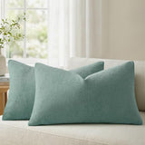 a moment Pack of 2 Decorative Chenille Throw Pillow Covers with Twill Cushion Covers for Sofa Living Room Couch Bed 20x12 Inch Teal