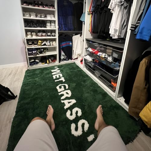 Wet Grass Rug - Green Grass Classic Handmade Flocked Area Rug - Hypebeast Home Decor Carpet - 20 * 32in (50 * 80cm) Indoor Entryway/Bathroom Mat/Sneaker Display Mat - Artistic Premium Floor Mat