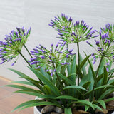 8 Bundles Artificial Flowers Plants for Outdoor Planters | 18.9 in Purple Large Fake Flowers | Spring Summer Look Real Plasic Faux Plant for Front Porch Pathway Garden Patio (Purple)