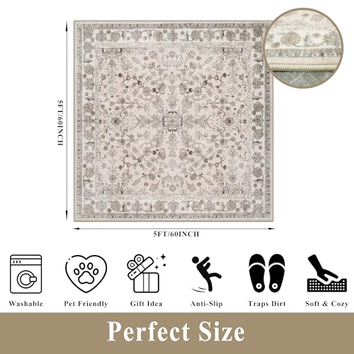 5x5 Square Washable Rug for Living Room: Non Slip Indoor Entryway Foot Carpet for Kitchen, Boho Soft Beige 5ftx5ft Low Pile Neutral Area Rug for Dining Room Bathroom (Beige, 5x5)
