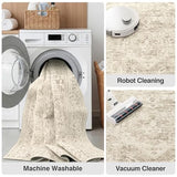FMFUNCTEX 4x6 Washable Brown Neutral Oriental Distressed Entryway Area Rug