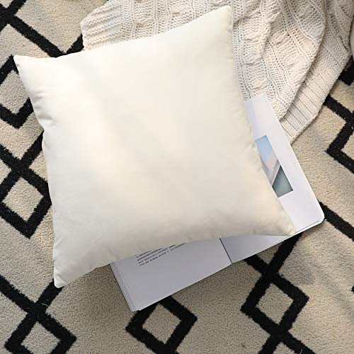 Set of 2 Comfortable Throw Pillow Cover for Bedding, Decorative Accent Cushion Sham Case for Couch Sofa, Soft Solid Velvet with Zipper Hidden - 20"x20", Ivory
