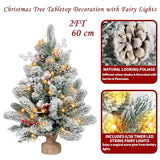 2FT Small Christmas Tree,Flocked Artificial Mini Christmas Tree with Lights,Tabletop Xmas Tree with Ornaments,Christmas Decoration for Party by DNKMOR