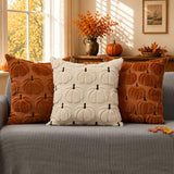 DFXSZ Fall Pillow Covers 16x16 2Pcs Rust Brown Pumpkin Fall Decorations