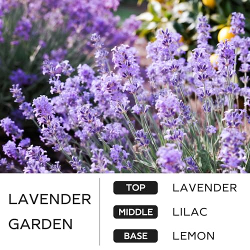 CHILLFLAME Lavender Candle, 14.1 oz Scented Candles for Home, 2 Wicks Blended Scents Aromatherapy Candles for Women and Men, Birthday Gifts for Women (Lavender+Lilac+Lemon)