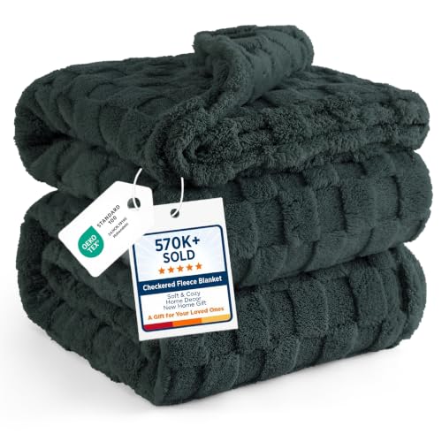 Bedsure Checkered Soft Cozy Queen Blanket for Bed, Green, 90"×90"