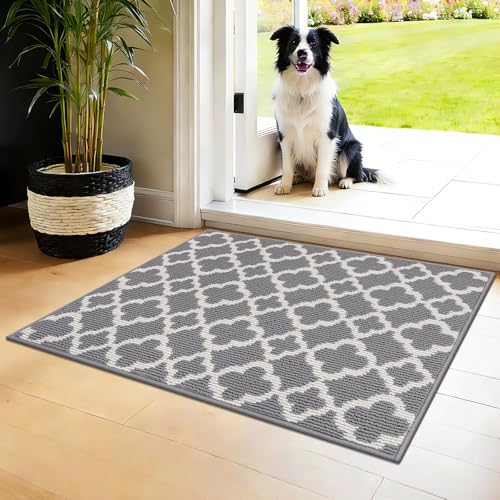 Indoor Door Mat 2×3 ft, Non-Slip Washable Doormats, Grey