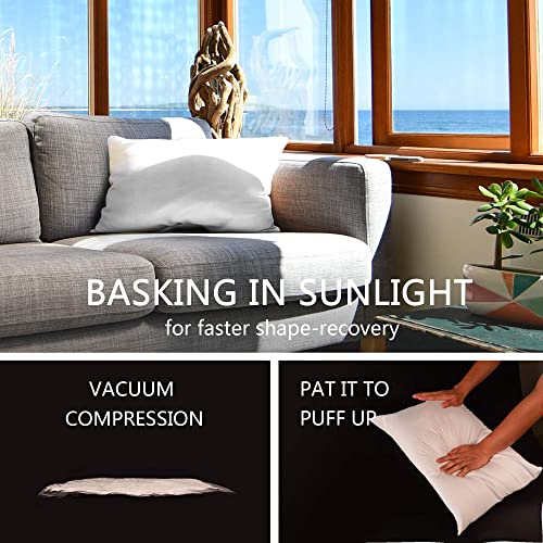 EDOW Luxury Throw Pillow Insert, Soft Fluffy Down Alternative Polyester Square Form Decorative Pillow Insert,Sham Stuffer,Cotton Cover for Sofa, Couch,Bed and Car. (White, 12x20)