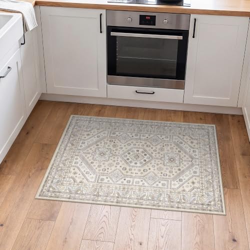 2x3 Washable Area Rug: Non-Slip Soft Vintage Entryway Door Mat