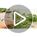 summer flower 10 Pack Artificial Boxwood Stems for Outdoors Unfading in The Sun Plastic Faux Plants Fake Foliage Shrubs Greenery for Garden Office Patio Wedding Farmhouse Indoor Decoration