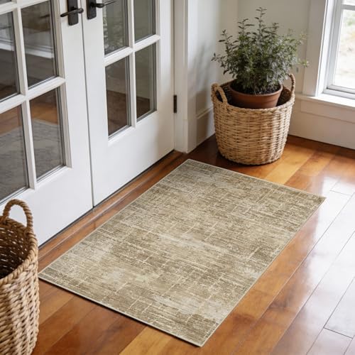 2x3 Area Rug Washable for Entryway: Throw Abstract Neutral Rugs TanBrown