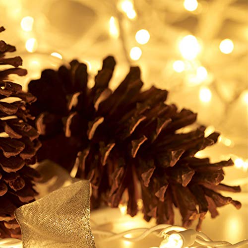 HISHINY Christmas Lights 100 Count Mini Clear Lights 21ft White Wire Christmas Tree String Lights Set for Outdoor Indoor Christmas Decorations Wedding Valentines Day Decor,UL Certified (21feet)