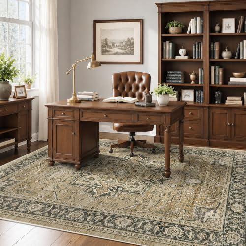 6x9 Area Rug for Living Room Soft Washable Vintage Boho Area Rug