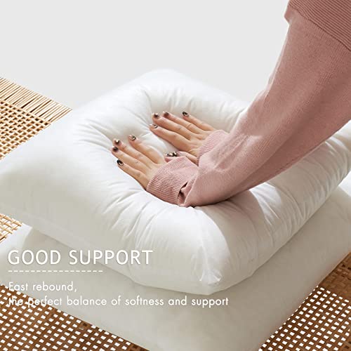 MIULEE Throw Pillow Insert with Decorative Throw Pillow Cover
