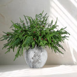 Yinder Xmas Norfolk Pine Branches with Pine Cones Norfolk Pine Artificial Xmas Branches for Xmas Indoor Outdoor Home Decor(16 Pcs)