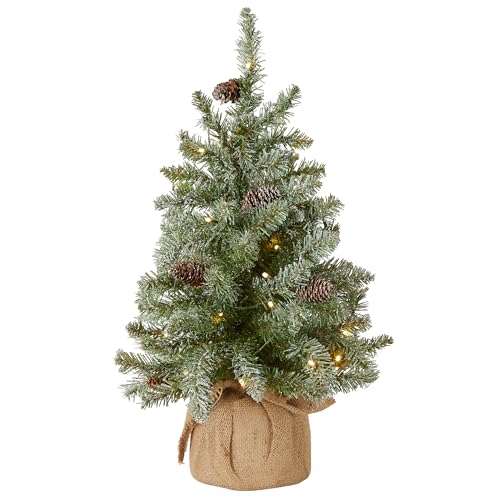 National Tree Company 2 ft Pre-Lit Flocked Mini Artificial Christmas Tree, 50 Clear LED Lights, 75 Tips, Pinecones, Burlap Base, Timer, Green