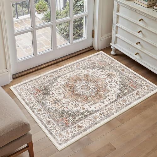 Area Rug 2x3 Entryway Rug Soft Washable Low Pile Vintage Doormat